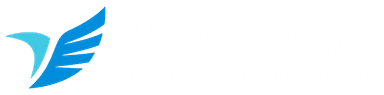 四川擎羽科技 Logo